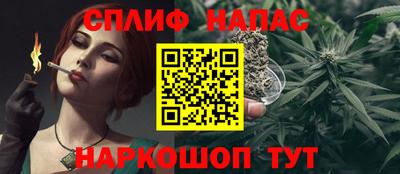 тгк Пугачёв