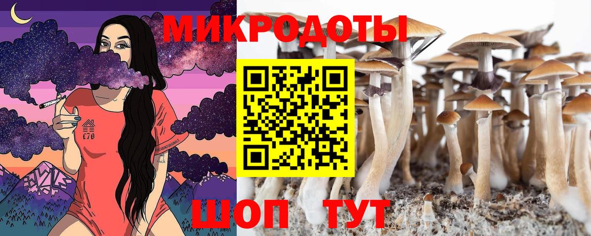 Псилоцибиновые грибы Psilocybine cubensis  Вход с VPN  Саров 